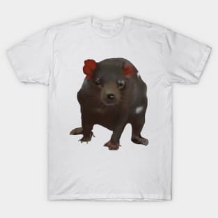 Taz T-Shirt